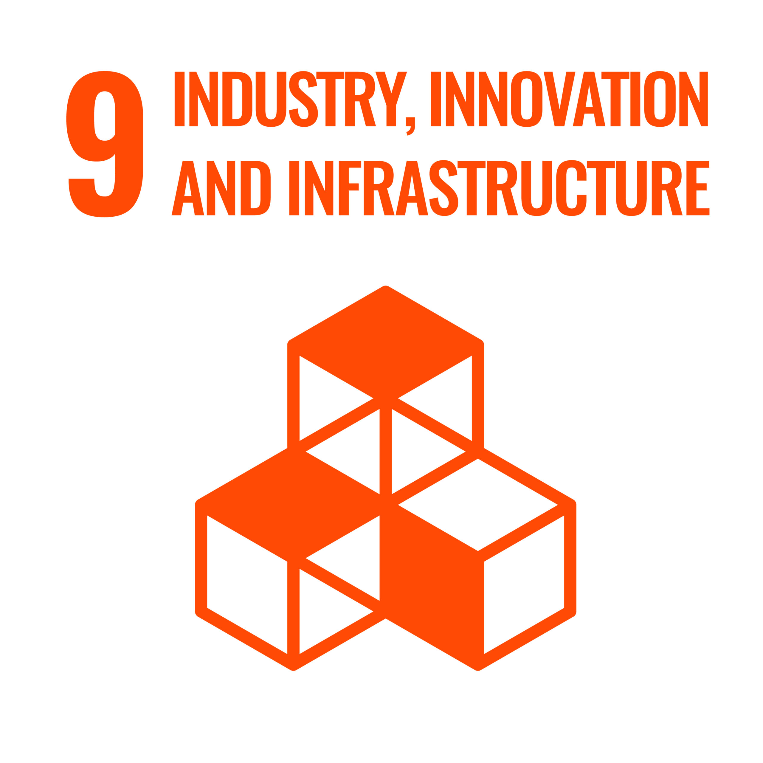 SDG 9 icon