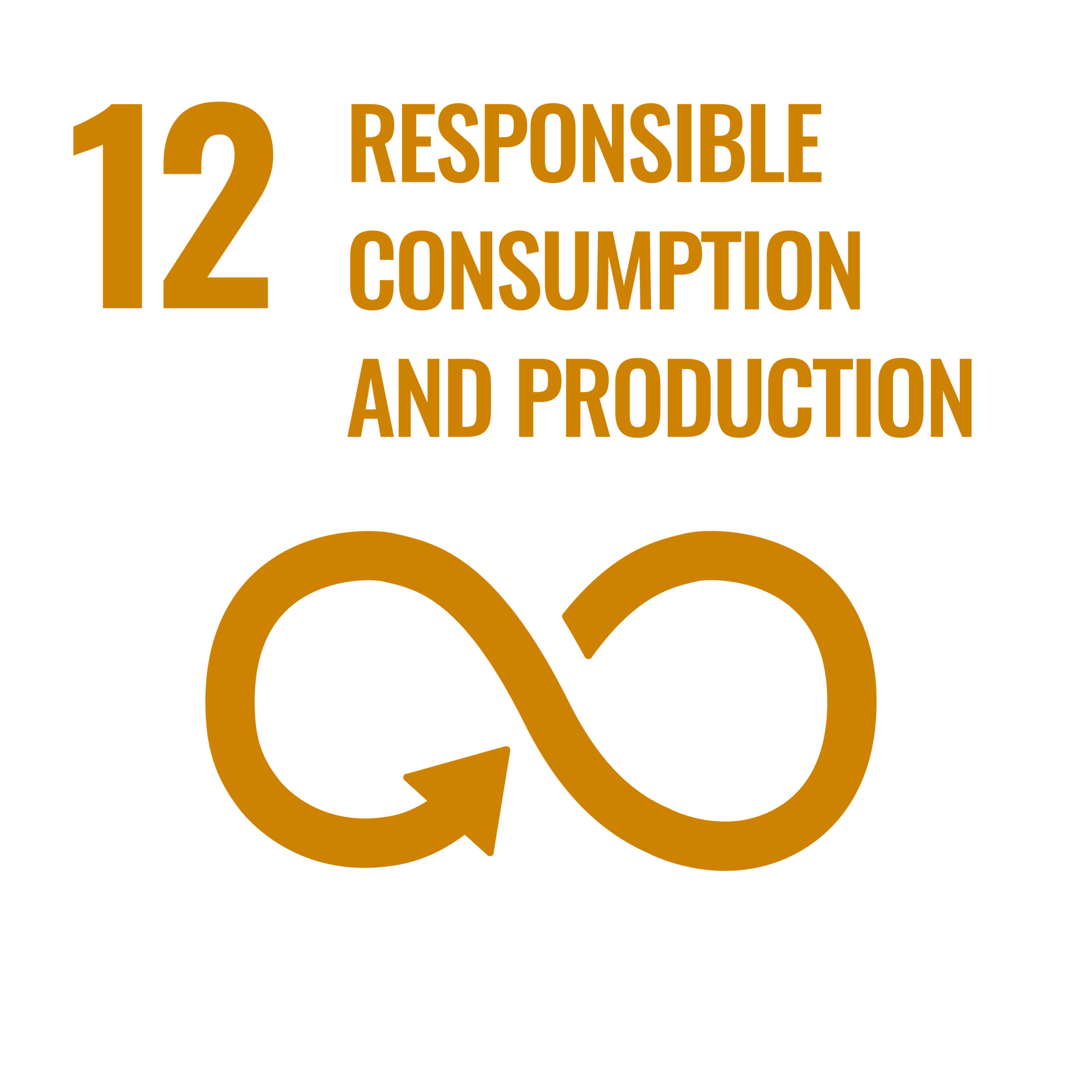 SDG 12 Icon